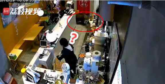 野猪窜进奶茶店吓坏女店员 野猪也想要秋天的第一杯奶茶吗