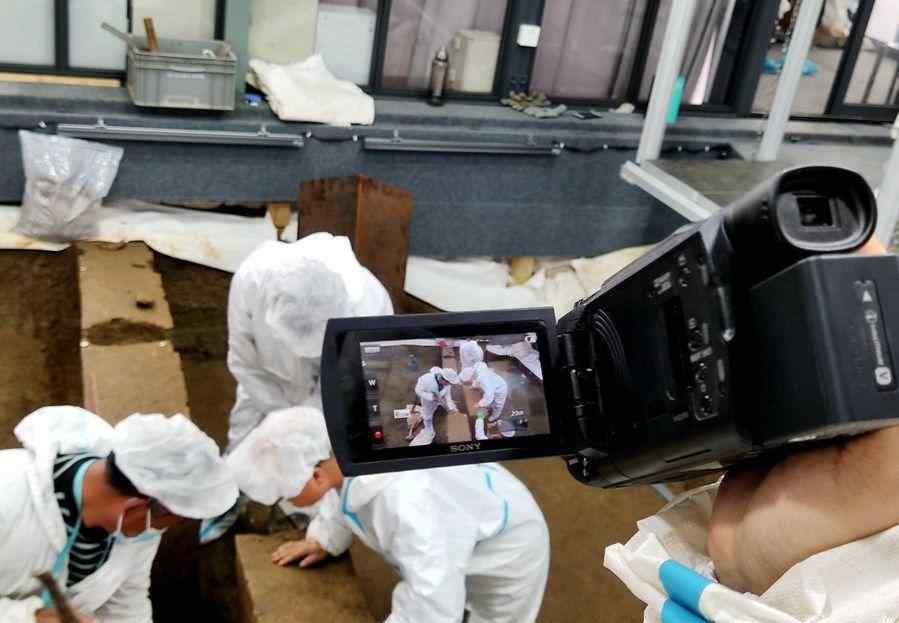 考古发现三星堆遗址8号“祭祀坑”存在大量高密度金属堆积