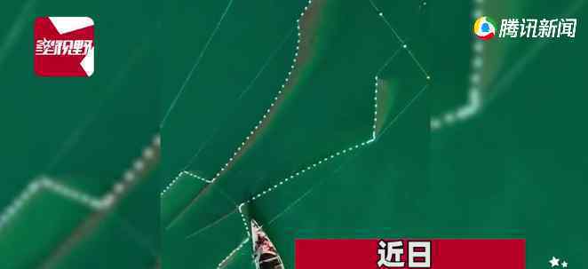 渔网中的鱼总是莫名变少 男子用无人机拍到意外真相