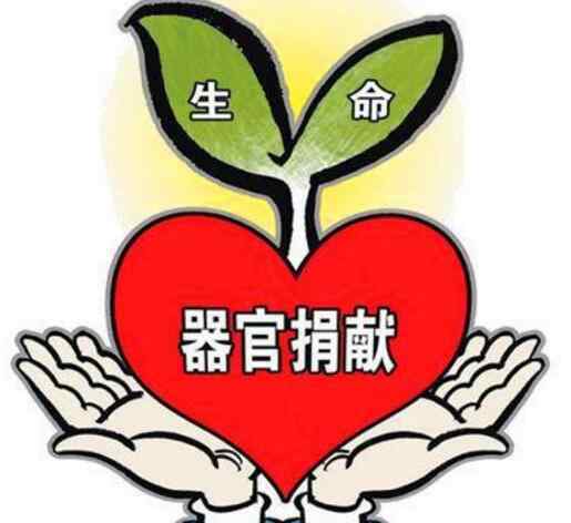 41岁男子车祸离世捐器官救7人 为何捐献者跟被捐献者不可以碰面