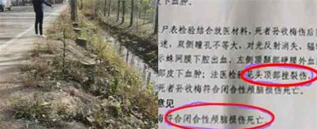 天降枯树枝砸死过路六旬老太 事故责任该由谁来承担