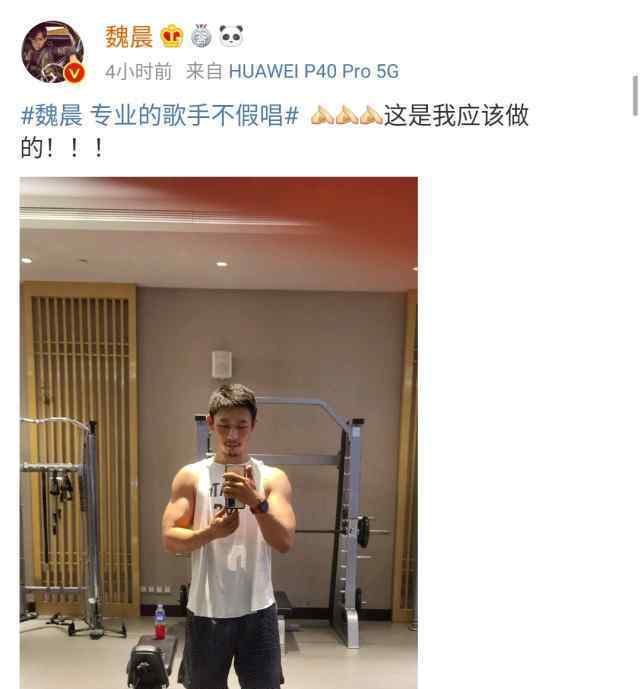 魏晨回应专业歌手不假唱 事件详细经过！