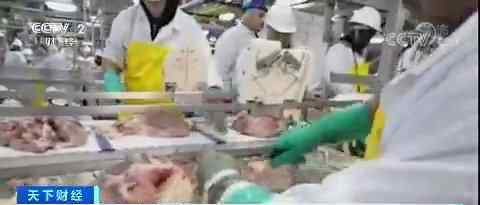 全球每年浪费食物高达16亿吨 还原事发经过及背后原因！
