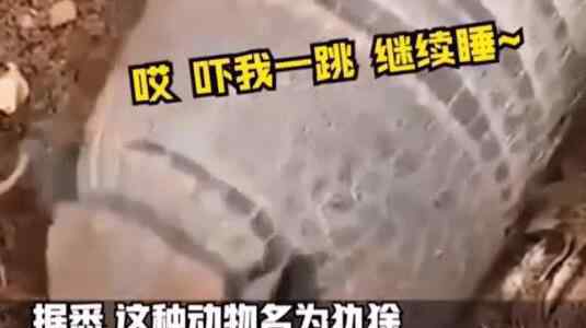 男子徒步发现泥土中有两只手掌 走近一触碰瞬间被吓到