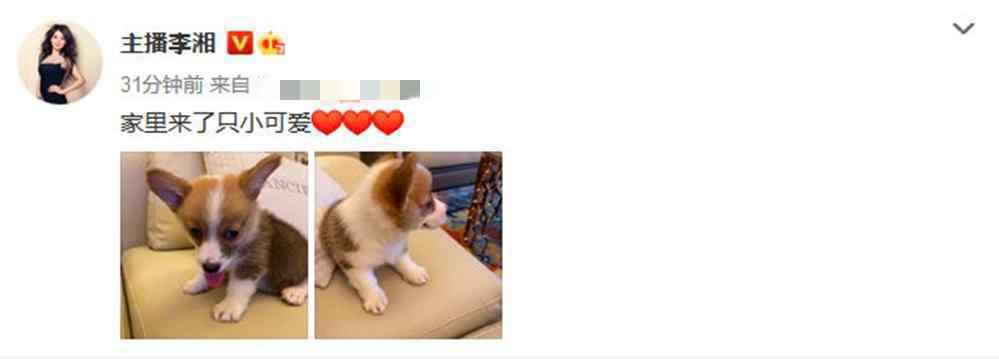 李湘王岳伦名下公司已注销 事件的真相是什么？