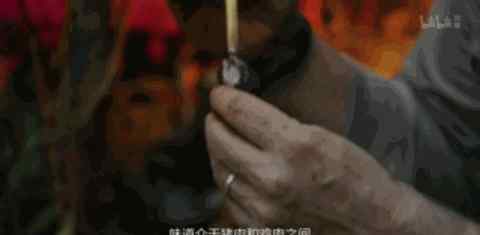 现代鲁宾逊 在蝎子、老虎和眼镜蛇的横行之地，这位“现代鲁宾逊”吃的真香
