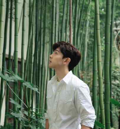 邓伦李沁工作室头像背景相似 是巧合还是有新的合作