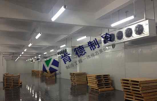 一立方 冷库一立方可以放多少货物