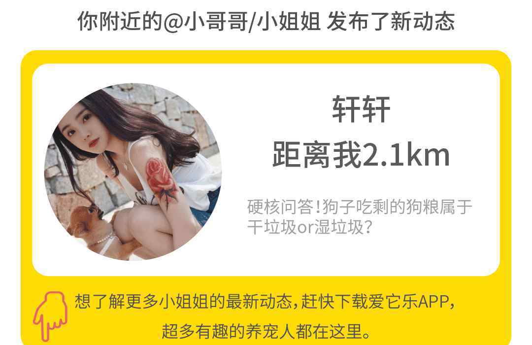阿拉斯加好养吗 买了只阿拉斯加，三个月后，终于明白大家为什么劝我不要养了