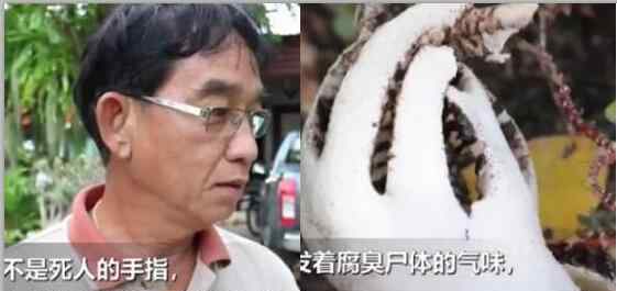 村民在公园发现一堆“死人手指”散发腐臭 专家一看惊喜不已