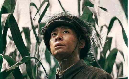 电影金刚川讲述了一个什么事情 电影金刚川剧情介绍