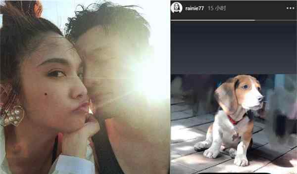 杨丞琳晒柴犬照来对比老公 网友赶忙安慰李荣浩不要生气