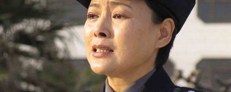 关于女公安的电视剧