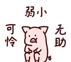 吃了有骚味的猪没事吧 谁说新西兰猪肉有骚味？那是因为你没这样吃啊！