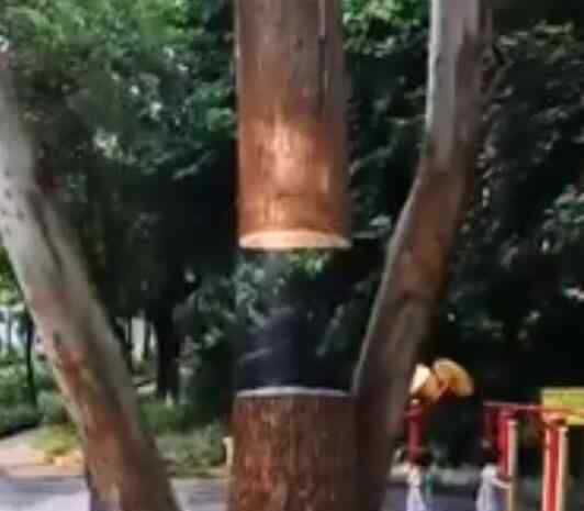 男子将电线杆画出断裂悬浮效果 网友：远看断了近看傻了