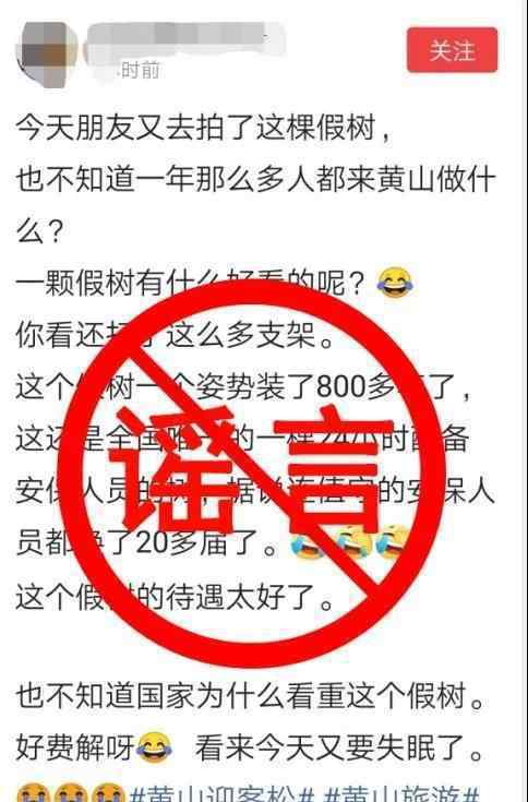 黄山风景区辟谣迎客松为塑料树 目前生长良好