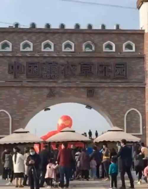 景区发免费票却现场索要儿童票 一张20元