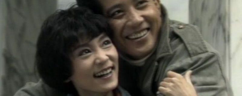 海鸥飞处彩云飞的演员