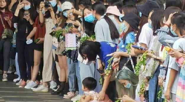 王一博粉丝拿香菜应援什么情况 具体真相让人哭笑不得