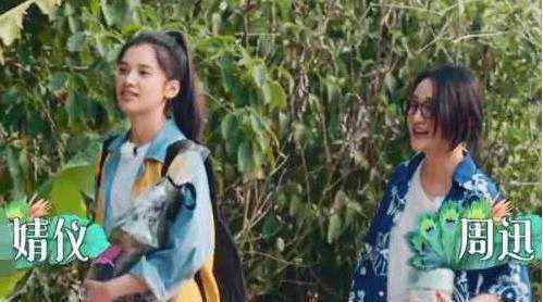 张婧仪为什么叫周迅姑 张婧仪周迅什么关系