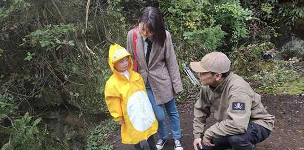 四川5岁小男孩发现恐龙足迹 恐龙类别是什么属于哪个时期