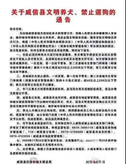云南回应禁止遛狗第3次直接捕杀 具体是怎么一回事？