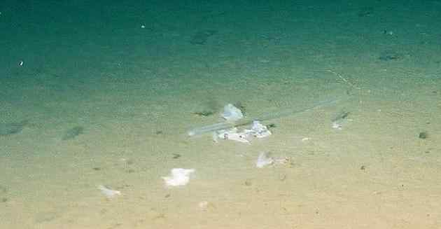 马里亚纳海沟垃圾 这意味着什么?