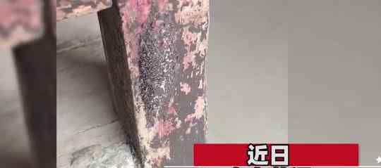 男子家中椅子鼓包一摸就叫 7天后飞出一物令人傻眼