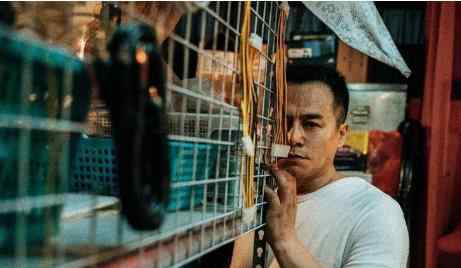 我在香港遇见他在线观看 1-16集完结免费蓝光视频