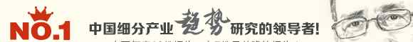 乐和网 2015-2020年中国福利彩票业市场前瞻与投资战略规划分析报告