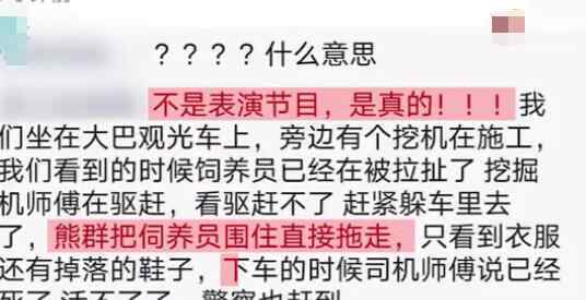 野生动物园工作人员遭熊袭击身亡 饲养员遭群熊撕扯令人后怕
