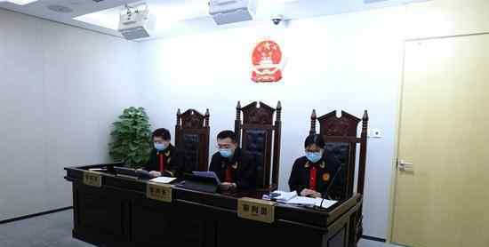 杨紫名誉权侵害案被告伪造证据 这意味着什么?