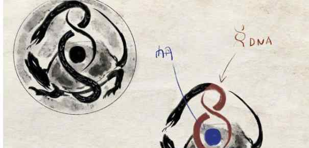 张艺兴四神兽怎么回事 网友：孩子还没长大