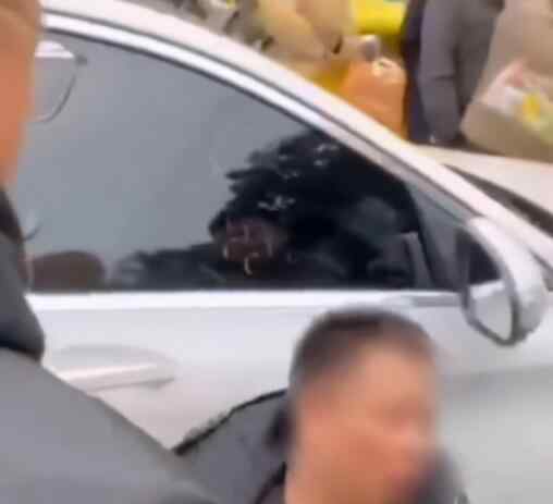 十几名外卖小哥当街围殴豪车车主 现场情况究竟是怎样的