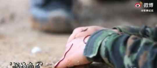 特战女兵身上爬满虫子竟纹丝不动 好样的，中国特战女兵!