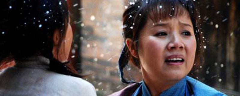 带上婆婆嫁的演员