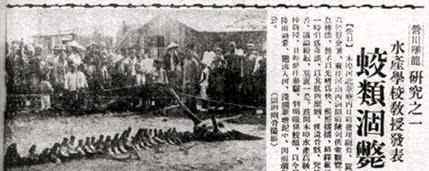 营口龙骨 揭开1934年营口坠龙事件真相 原来世人都被欺骗了文章配图