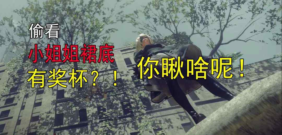 草泥马游戏 让玩家偷看裙底，抚摸草泥马？你们做游戏的怎么这么无聊！文章配图