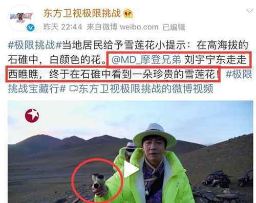 极限挑战嘉宾摘国家二级保护植物 背后真相让人无语