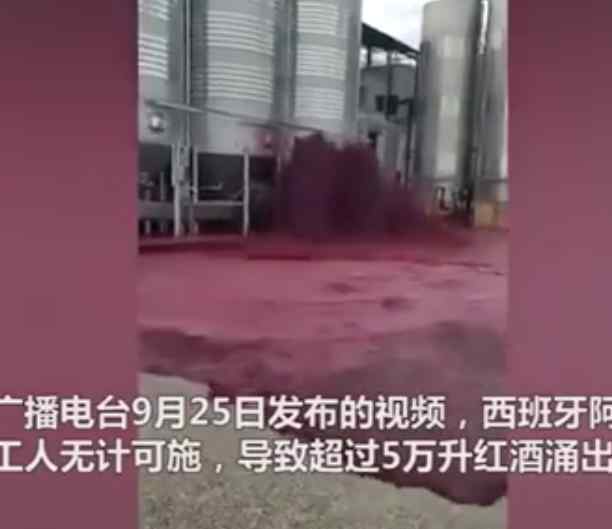西班牙小镇5万升红酒桶破裂 葡萄酒为什么用橡木桶