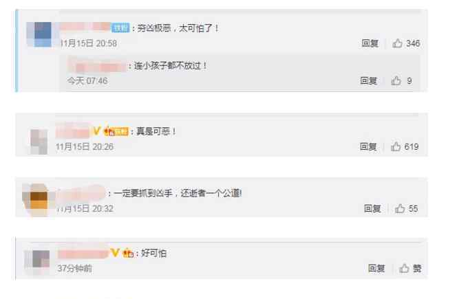 河南1家6口被杀案同村村民发声：两家之间并无矛盾