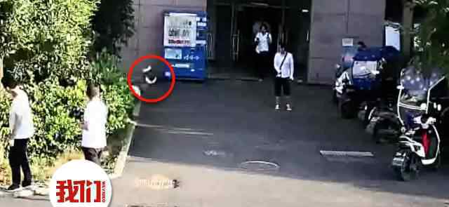 女子13楼扔电饭锅 心情郁闷烦躁就能置他人生命于不顾