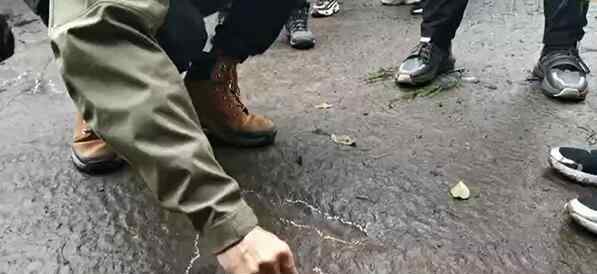 四川5岁小男孩发现恐龙足迹 恐龙类别是什么属于哪个时期