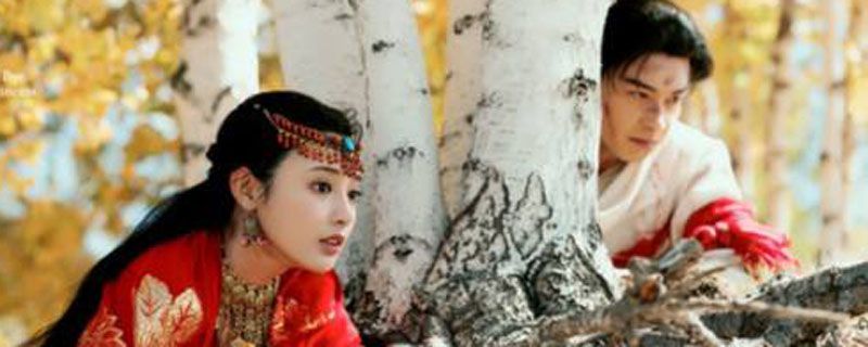 东宫的小说作者是谁