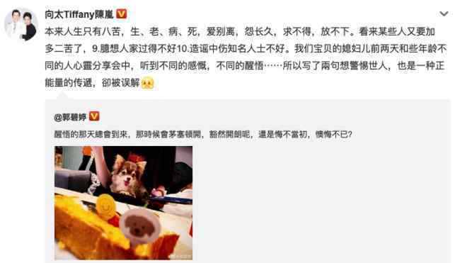 向太回应郭碧婷深夜发文 登上网络热搜了！
