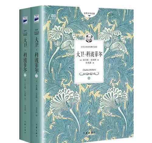 大卫科波菲尔txt 大卫·科波菲尔电子书PDF、epub、mobi、azw3下载