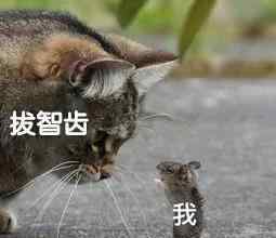 不足齿数 智齿不疼到底拔不拔？科普100次不如央视说1次！