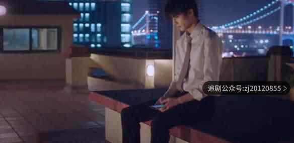 以家人之名免费观看 电视剧全40集在线播放