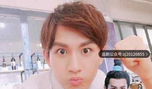 成毅和李宏毅长的好像 成毅的女朋友是谁个人资料