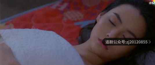 情链泰剧一共多少集分集剧情介绍 在线观看全集完整版